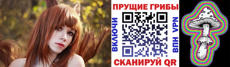 Псилоцибиновые грибы Cubensis  купить наркоту  Нюрба 